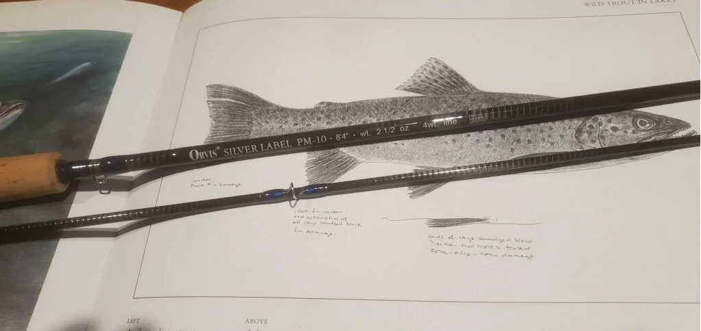 Orvis SILVER LABEL 8’4” Tip Flex ＃3 Orvis Silver Label LT Mid-Flex 6.5 Fly Rod. 8' 4” 3wt. W